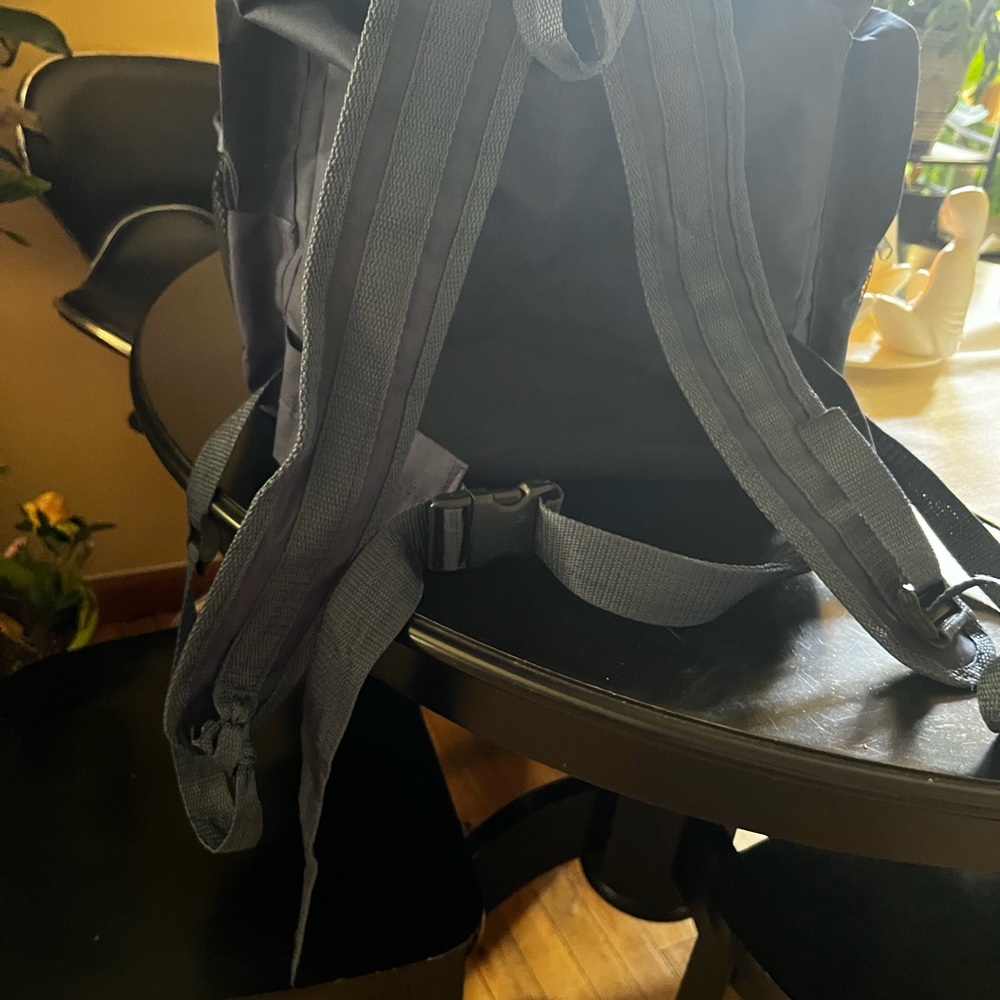 Nice Big Backpack - image 7